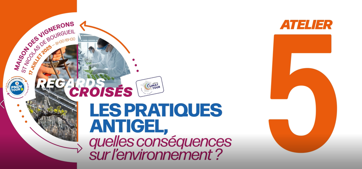 Les pratiques antigel : quelles conséquences sur l'environnement ?