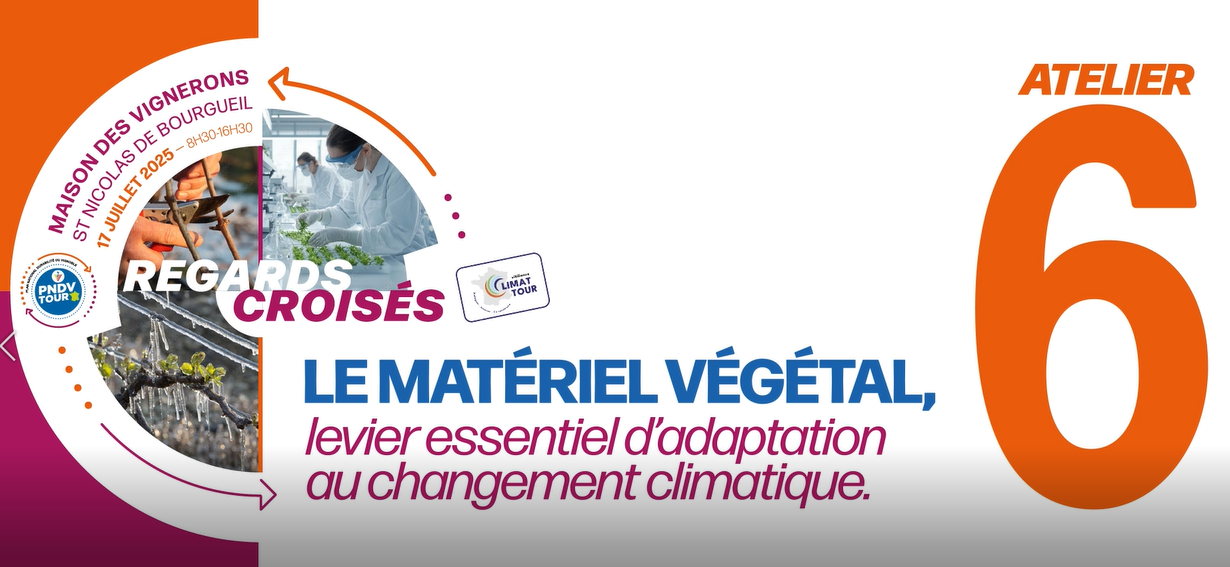 Le matériel végétal, levier essentiel d’adaptation au changement climatique