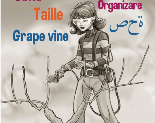 Tuto en 6 langues sur la taille vertueuse de la vigne en toute sécurité