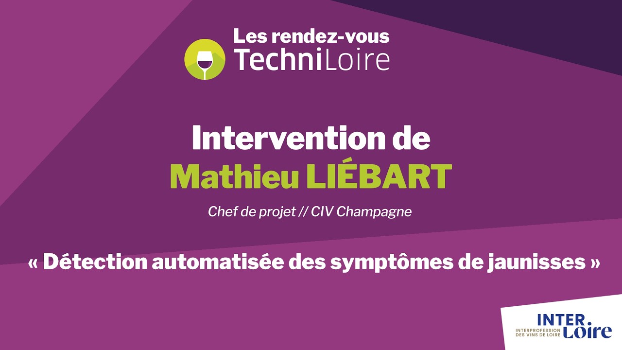 Détection automatisée des symptômes de jaunisses